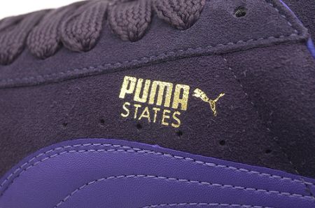  Puma States