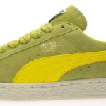 Puma States