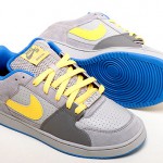 Nike SB SNT Team Edition