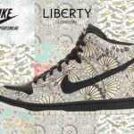  Nike x Liberty